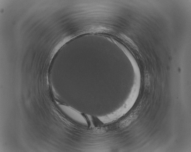 X0000067871226200605111751