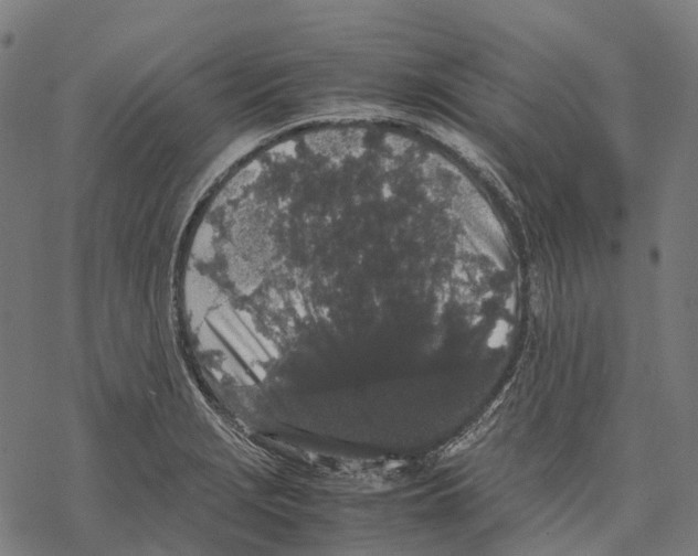 X0000067871229200605111751