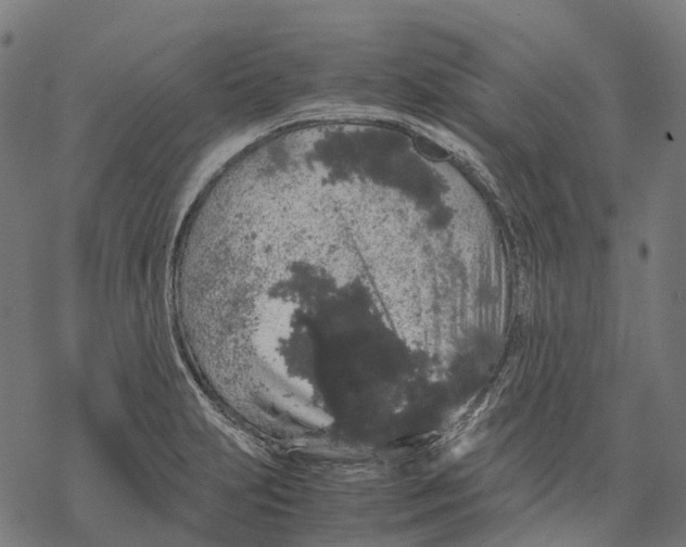 X0000067871231200605111751