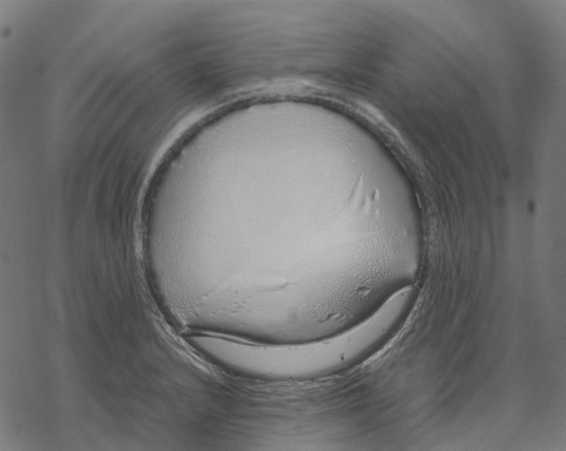 X0000067871232200605111751