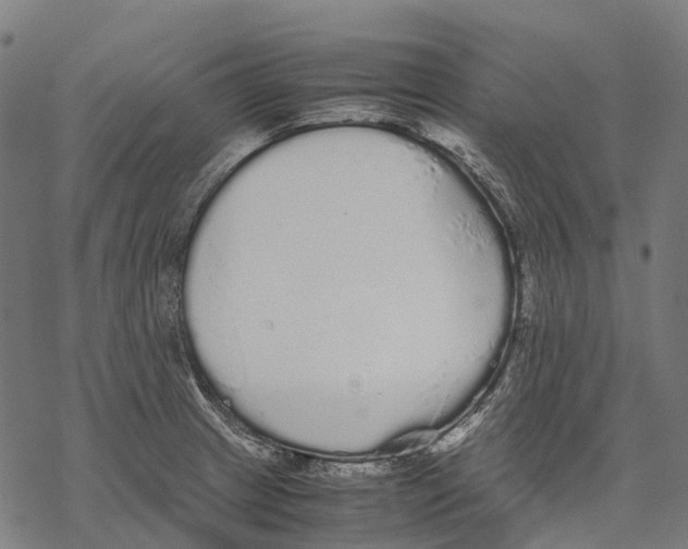 X0000067871233200605111751