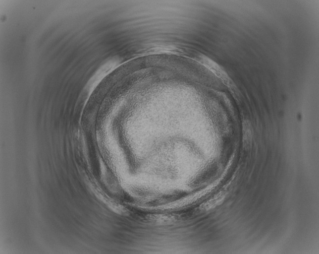 X0000067871234200605111751