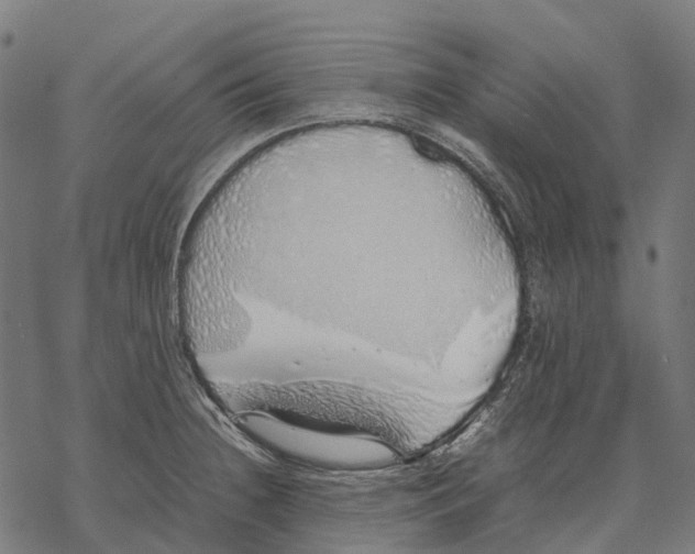 X0000067871236200605111751