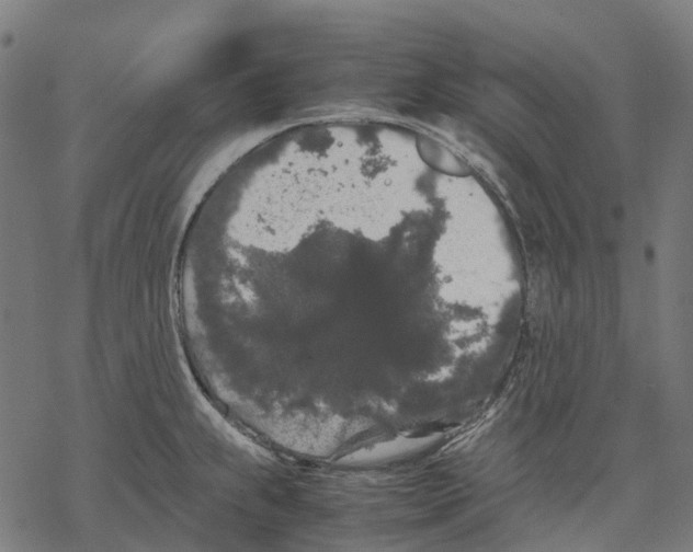 X0000067871239200605111751