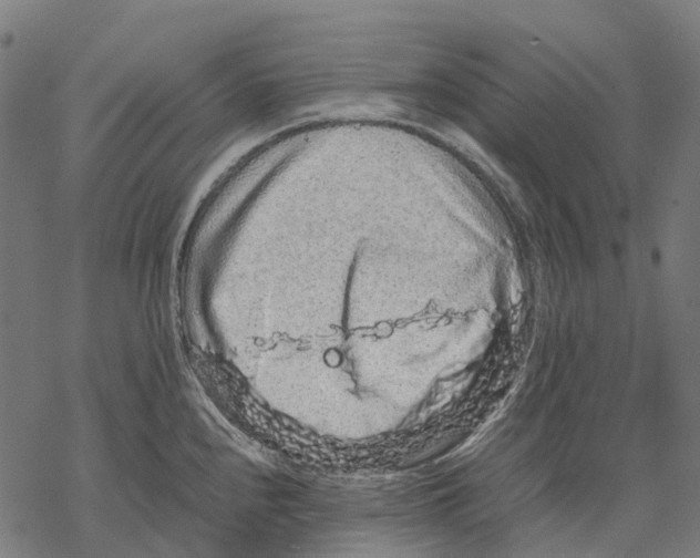 X0000067871240200605111751