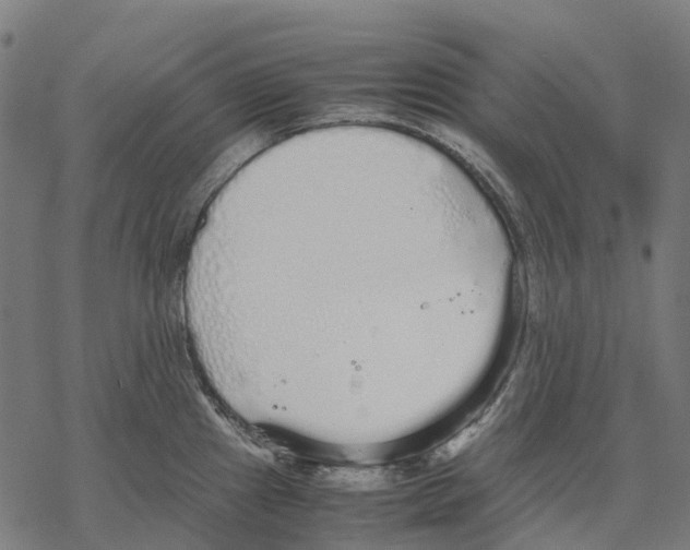 X0000067871241200605111751