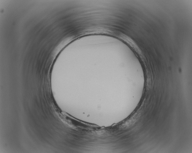 X0000067871242200605111751