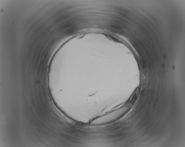 X0000067871244200605111751