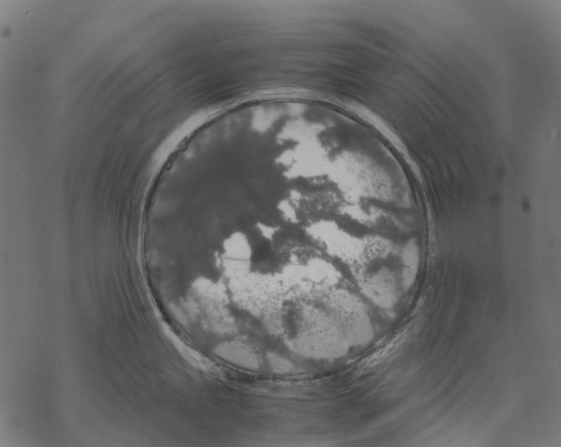 X0000067871245200605111751