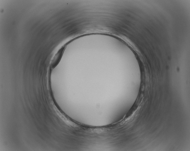 X0000067871246200605111751