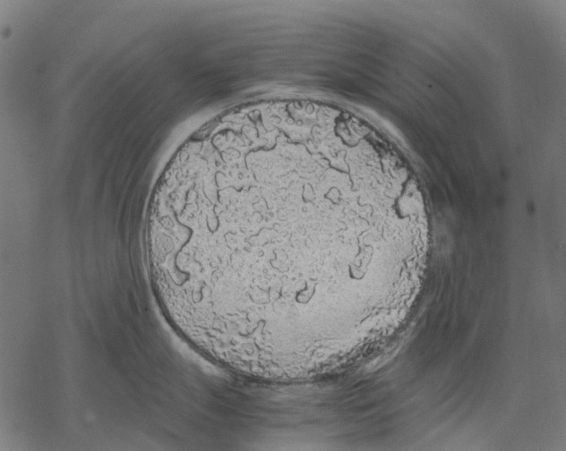 X0000067871247200605111751