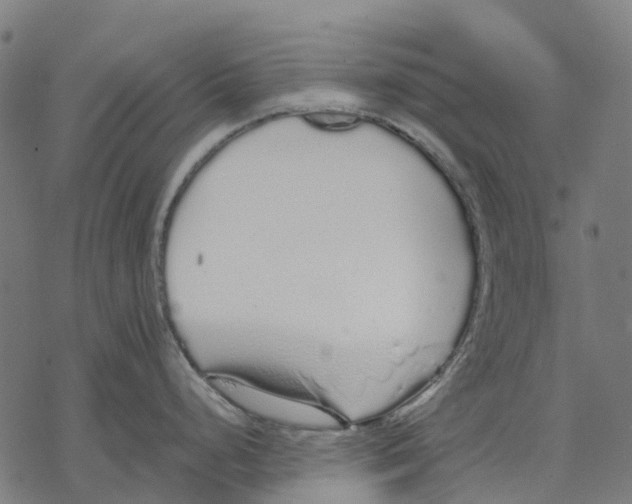 X0000067871248200605111751