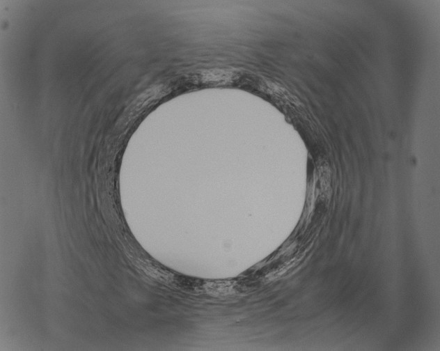 X0000067871249200605111750