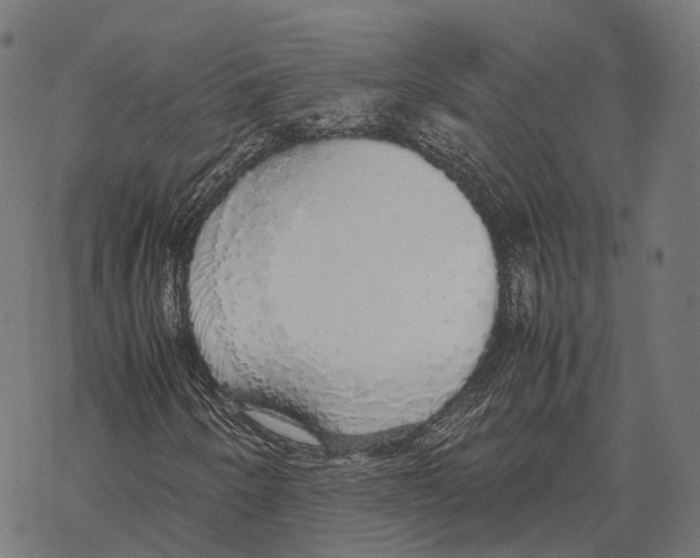 X0000067871250200605111750