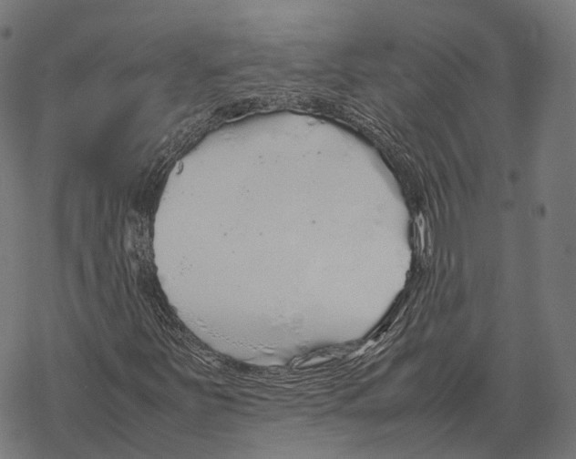 X0000067871251200605111750