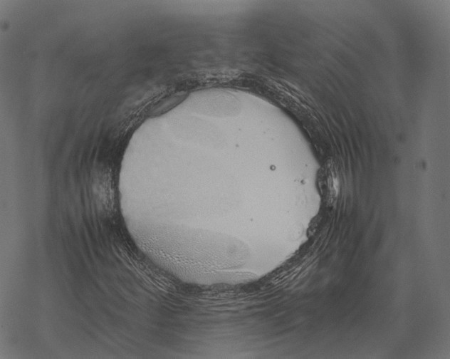 X0000067871252200605111750