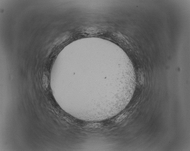 X0000067871253200605111750