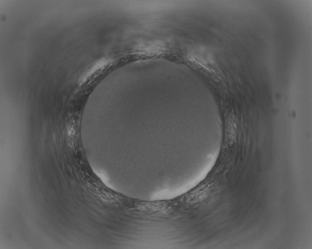 X0000067871254200605111750