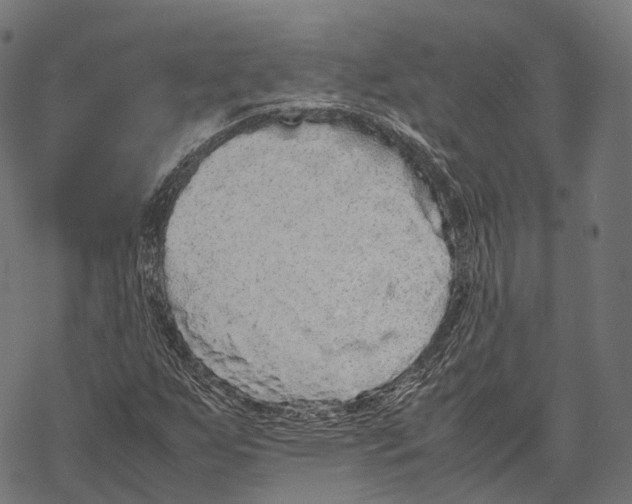 X0000067871255200605111750