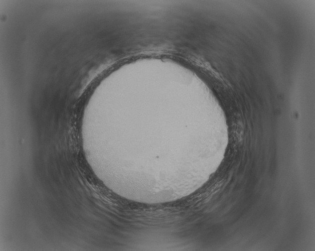 X0000067871256200605111750