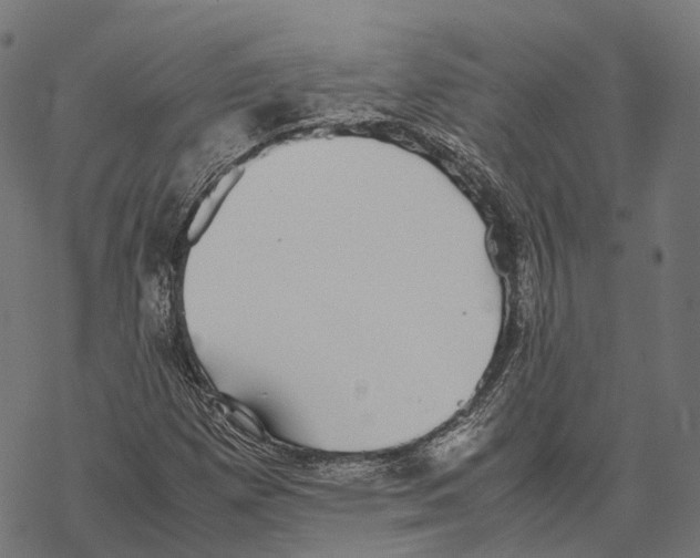 X0000067871257200605111750