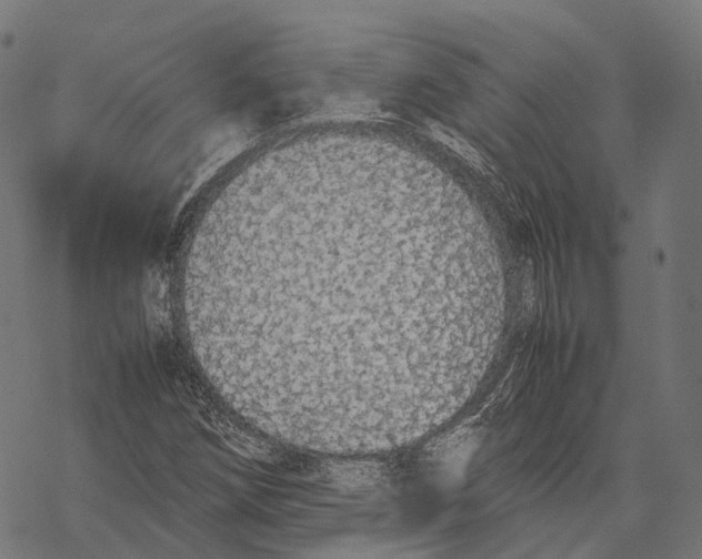 X0000067871258200605111750