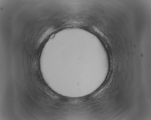 X0000067871259200605111750