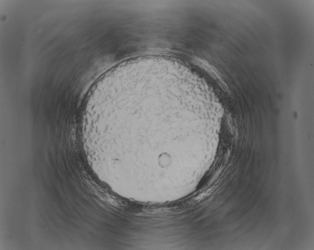 X0000067871260200605111750