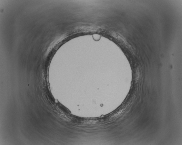 X0000067871261200605111750