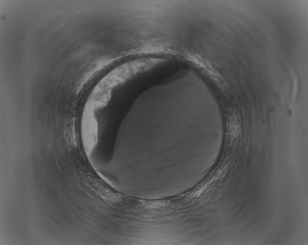 X0000067871262200605111750