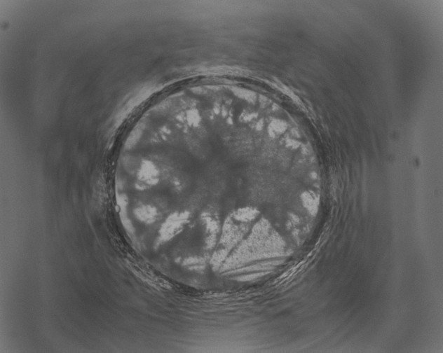 X0000067871263200605111750