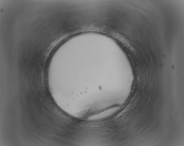 X0000067871264200605111750