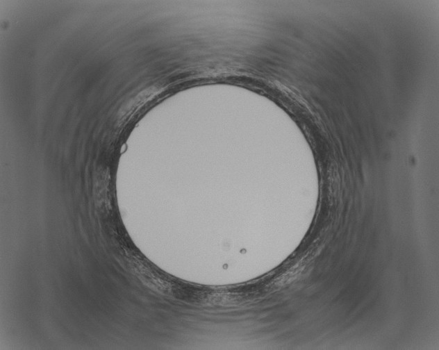 X0000067871265200605111750