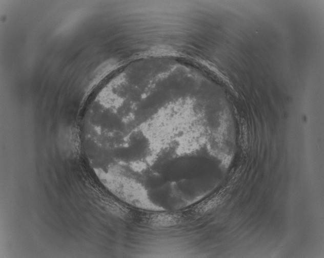 X0000067871266200605111750