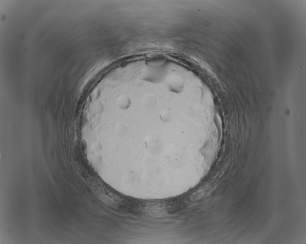 X0000067871267200605111750