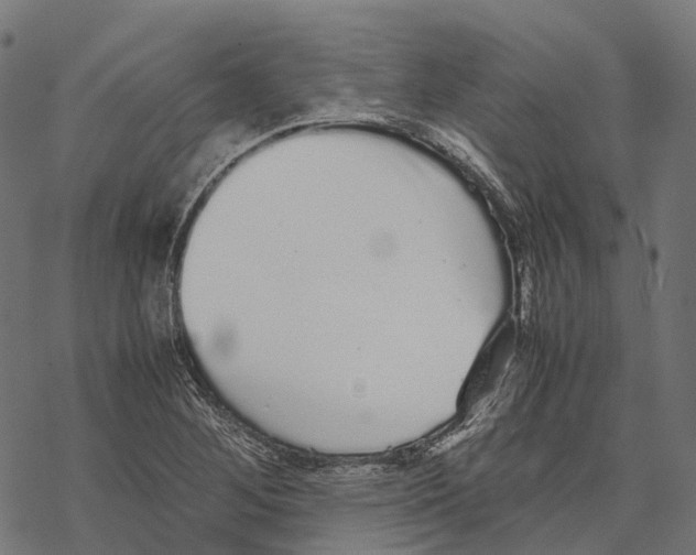 X0000067871268200605111750