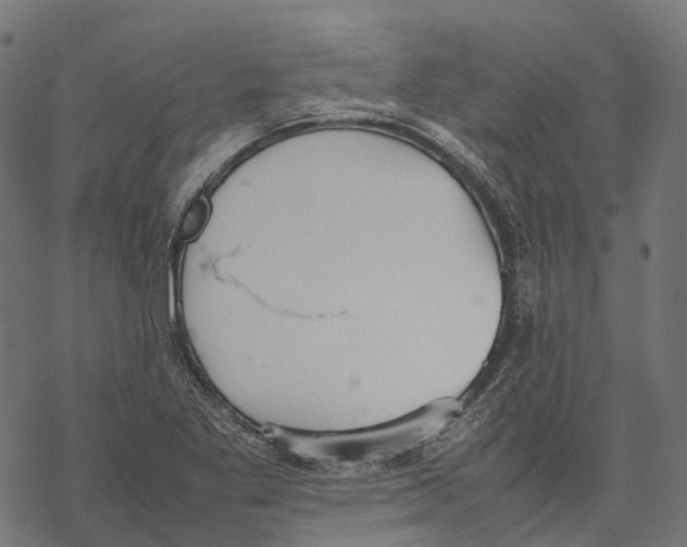 X0000067871269200605111750