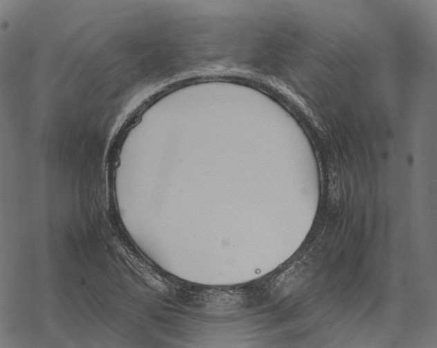 X0000067871270200605111750