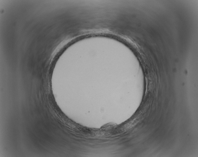 X0000067871271200605111750