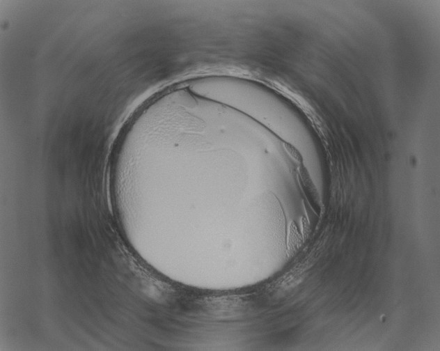 X0000067871272200605111750