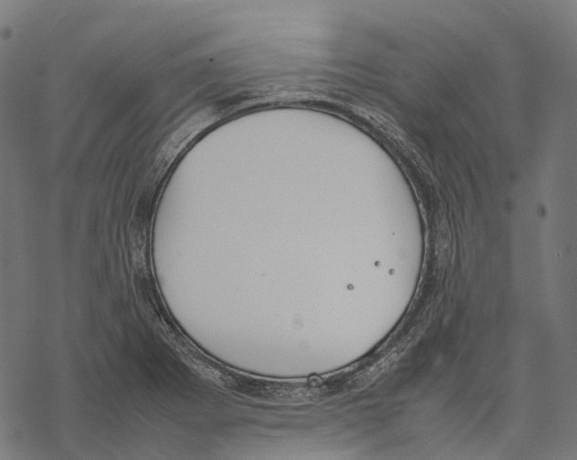 X0000067871273200605111750