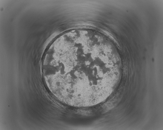 X0000067871275200605111750