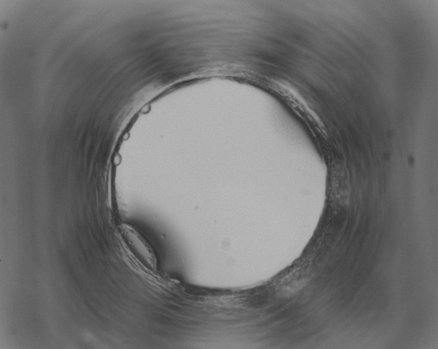 X0000067871276200605111750