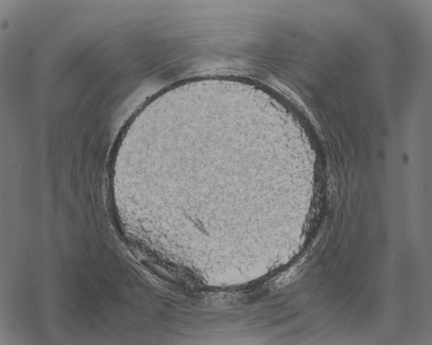 X0000067871277200605111750