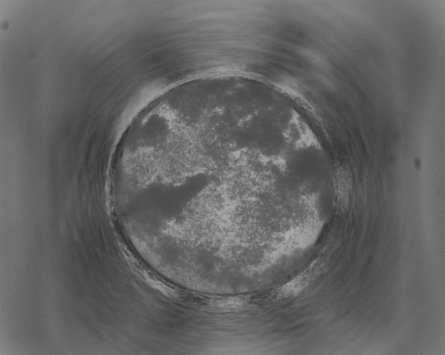 X0000067871278200605111750