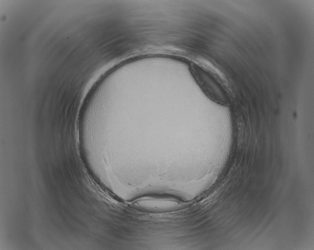 X0000067871280200605111750