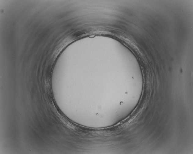 X0000067871281200605111750