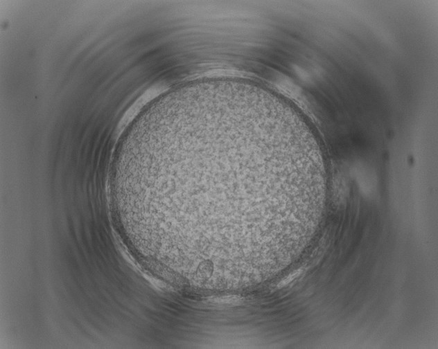 X0000067871282200605111750