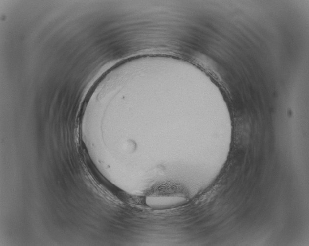 X0000067871284200605111750