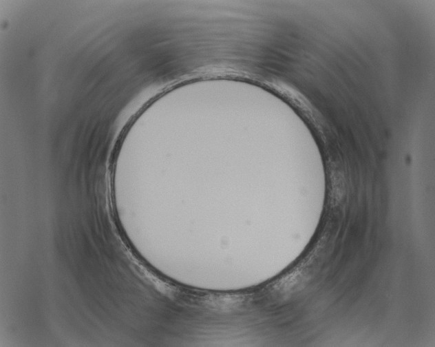 X0000067871286200605111750